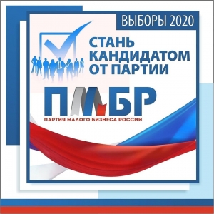 ПМБР участвует в выборах в Краснодарском крае, Рязанской, Новосибирской, Новгородской и Магаданской областях